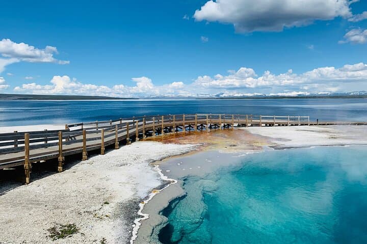 Yellowstone Lower Loop: Full-Day Tour to Old Faithful, Grand Prismatic & Lower Falls photo 6