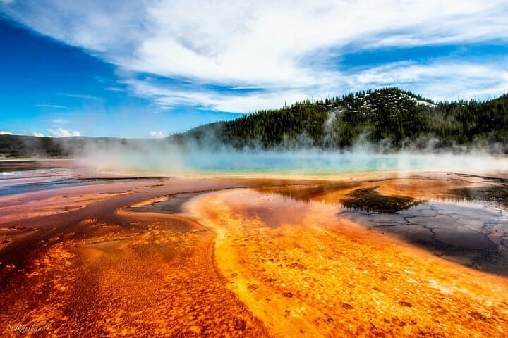 Yellowstone Lower Loop: Full-Day Tour to Old Faithful, Grand Prismatic & Lower Falls