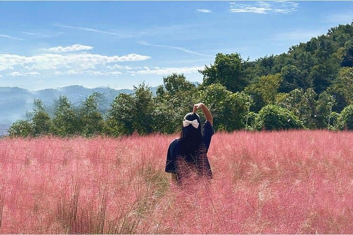 Pocheon Day Tour: Sanjung Lake, Apple Picking & Herb Island in a Single Day photo 4