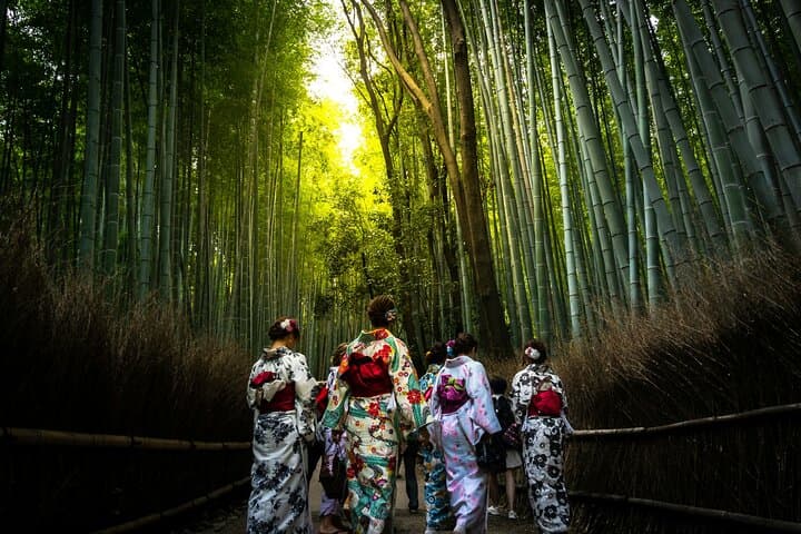 Arashiyama Early-Access Walking Tour: Togetsukyo, Tenryu-ji & Bamboo Grove (Kyoto) photo 3