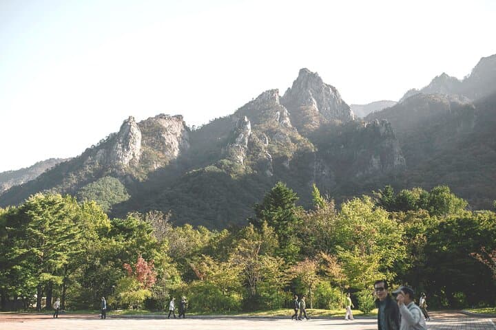 Seorak Day Trip from Seoul: Cherry Blossoms, Cable Car Views & Sokcho Food photo 6