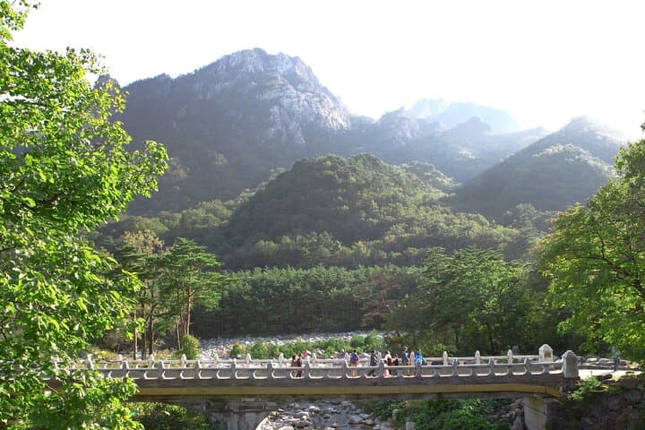 Seorak Day Trip from Seoul: Cherry Blossoms, Cable Car Views & Sokcho Food photo 4