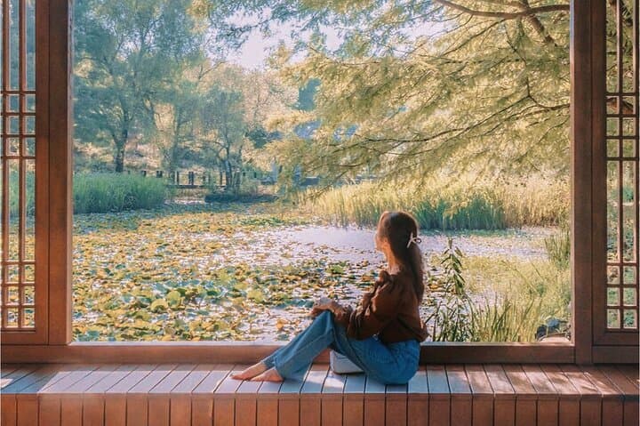 Jeonju Hanok Village & Arboretum Day Tour — Hanok Culture and Spring Flower Festival