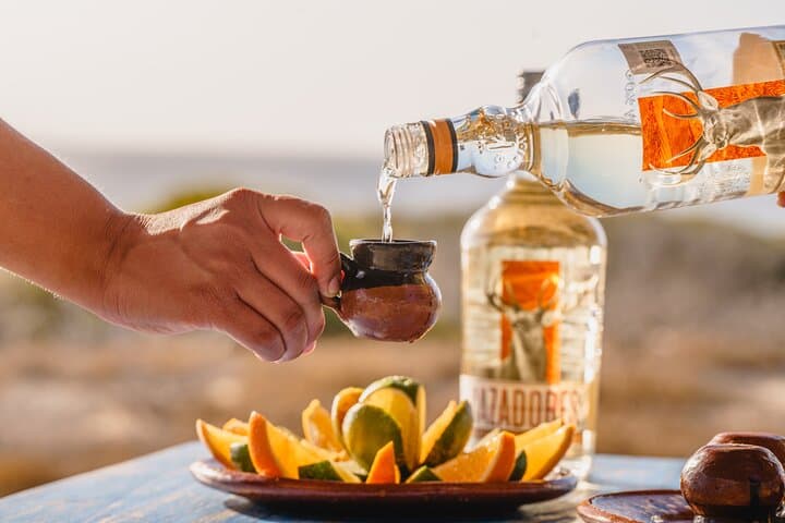 Los Cabos Horseback Riding Adventure: Beach & Desert Ride with Tequila Tasting photo 2