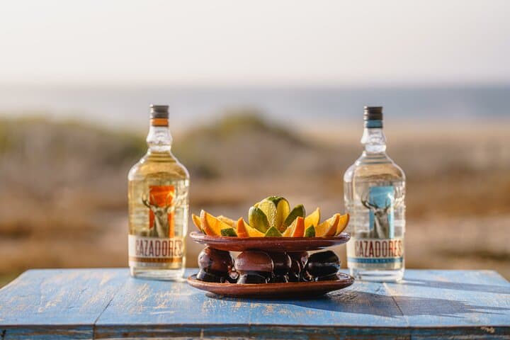 Los Cabos Camel Beach Safari and Tequila Tasting Experience photo 2