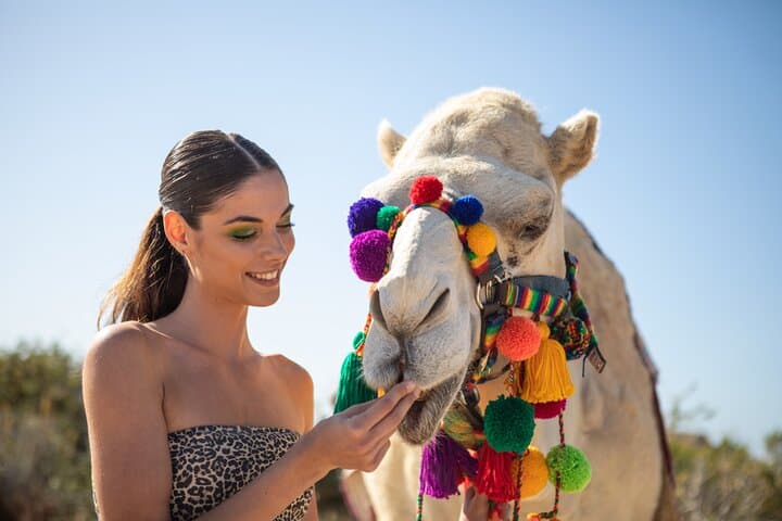 Los Cabos Camel Beach Safari and Tequila Tasting Experience photo 3