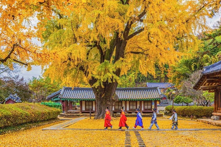 Jeonju Hanok Village & Jangtaesan Autumn Foliage: Full-Day Cultural and Mountain Tour