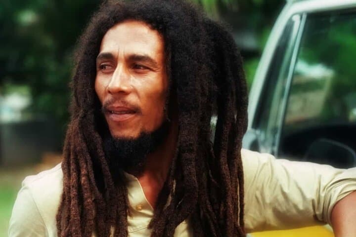 Nine Mile Bob Marley Tour from Ocho Rios: Rastafari Culture & Scenic Fern Gully Drive