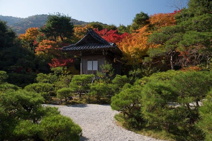 Arashiyama Bamboo Grove Guided Walk: Sagano, Tenryuji & Kimono Forest (3-Hour) photo 5