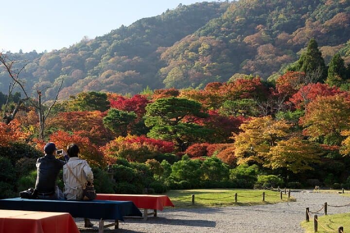 Arashiyama Bamboo Grove Guided Walk: Sagano, Tenryuji & Kimono Forest (3-Hour)