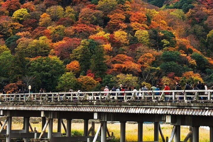 Arashiyama Bamboo Grove Guided Walk: Sagano, Tenryuji & Kimono Forest (3-Hour) photo 4