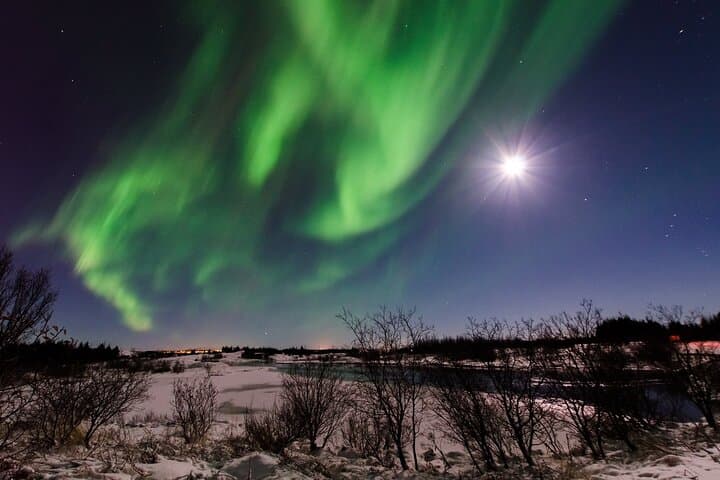 Chase the Northern Lights: Minibus Aurora Tour from Reykjavik