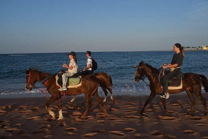 Sunrise Horse Ride in Hurghada: Desert to Red Sea at Dawn photo 1