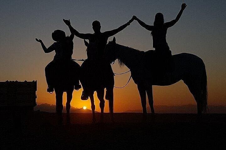 Sunrise Horse Ride in Hurghada: Desert to Red Sea at Dawn photo 4