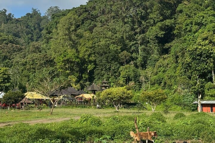 Tamblingan Lake Forest Walk & Canoe Ride — Bali Guided Nature Tour photo 2