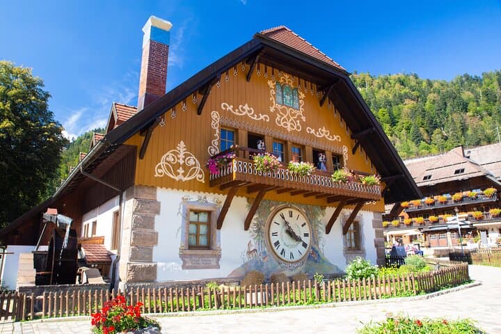 From Rhine Falls to the Black Forest: Private Day Trip from Zurich