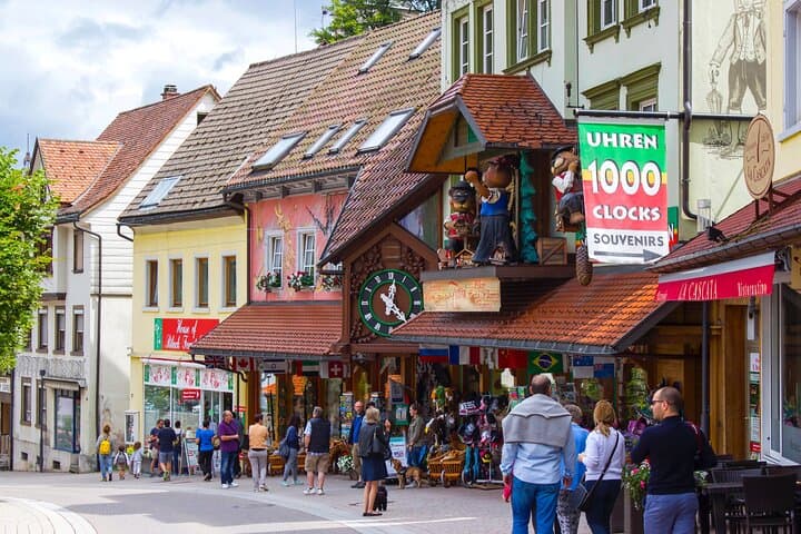 From Rhine Falls to the Black Forest: Private Day Trip from Zurich photo 5