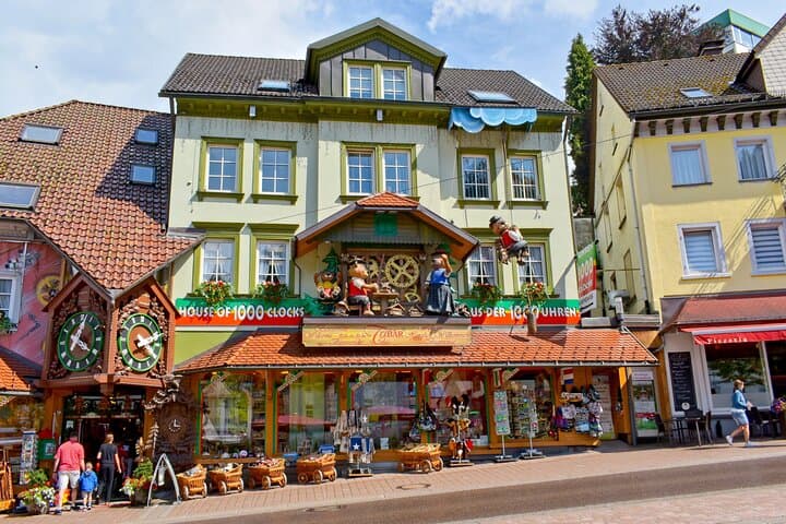 From Rhine Falls to the Black Forest: Private Day Trip from Zurich photo 3