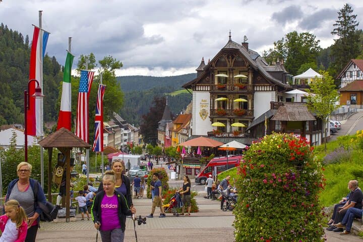 From Rhine Falls to the Black Forest: Private Day Trip from Zurich photo 6