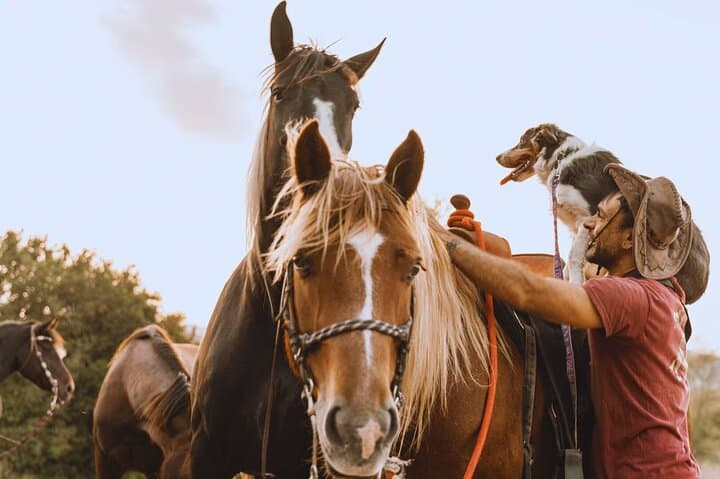 Horseback Ride Through Furlo Gorge: 2-Hour Equestrian Tour from Urbino