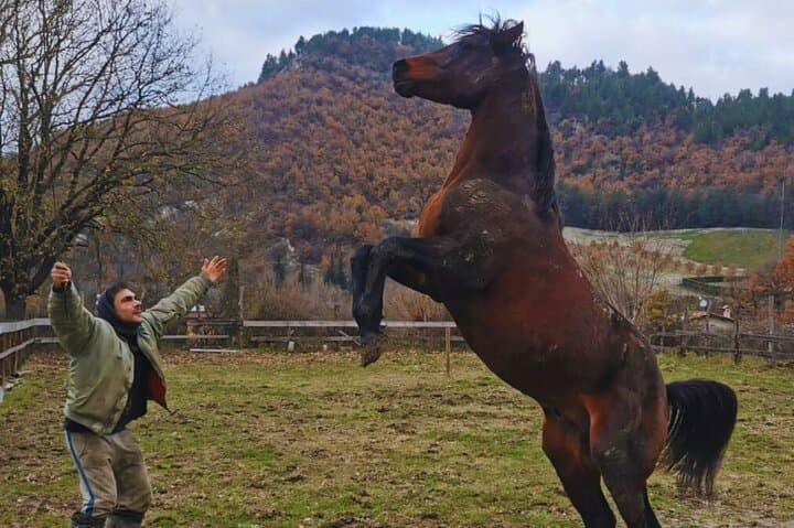 Horseback Ride Through Furlo Gorge: 2-Hour Equestrian Tour from Urbino photo 2