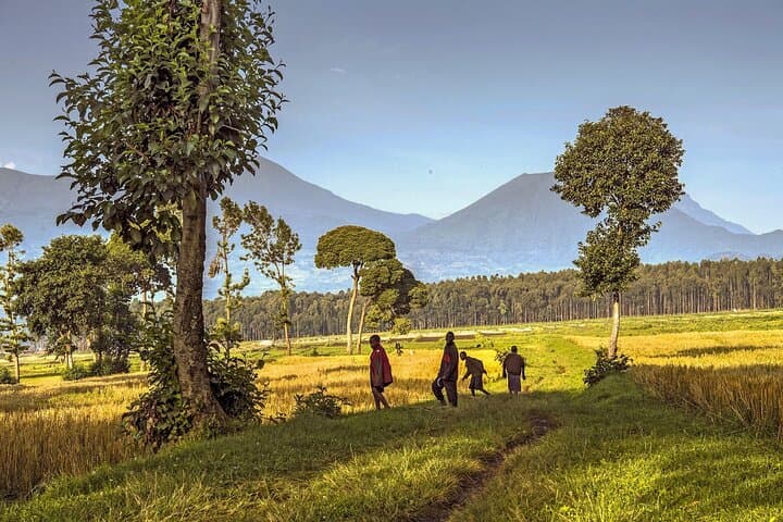 Volcanoes Scenic Walk & Caves Exploration in Kinigi — Day Hike Near Musanze