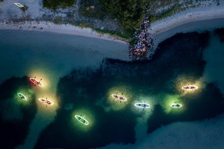 Explore Lake Macquarie’s Nocturnal Waters on the Naru Beach Night Kayak Tour photo 3