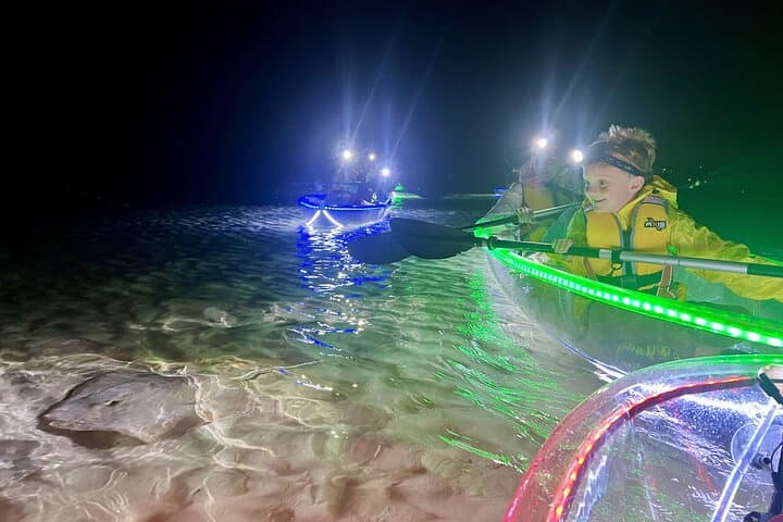 Explore Lake Macquarie’s Nocturnal Waters on the Naru Beach Night Kayak Tour photo 4