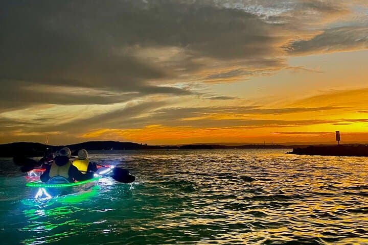 Explore Lake Macquarie’s Nocturnal Waters on the Naru Beach Night Kayak Tour photo 6