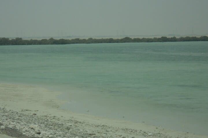 Qatar North Coast: Al Zubara Fort, Ruwais & Al Khor Half-Day Tour photo 4