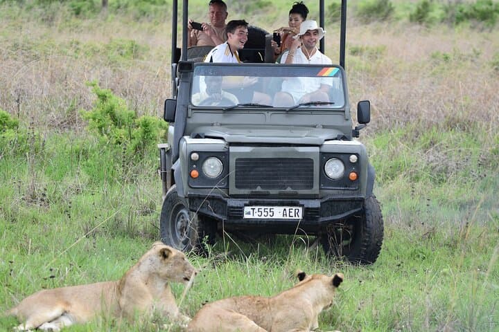 1-Day Mikumi Safari from Dar es Salaam by Train — Full-Day Game Drive in Mikumi National Park photo 1