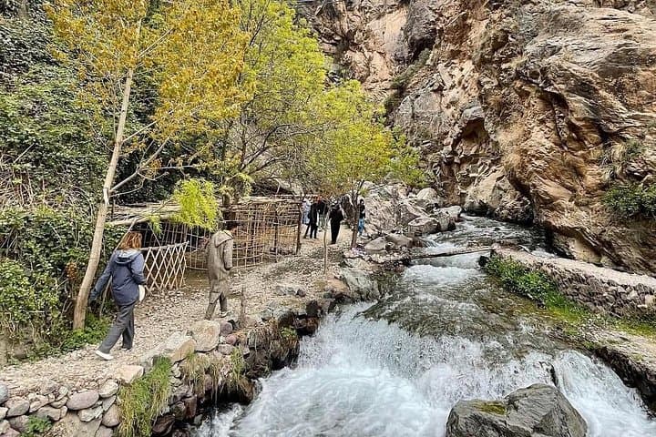 Atlas Mountains Day Trip from Marrakech: Imlil Villages, Agafay Camels & Argan Co-ops photo 4