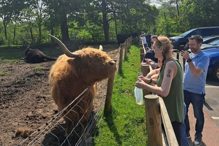 4-Day-Islay-Privately-Guided-Whisky-Tour-from-Edinburgh photo 6