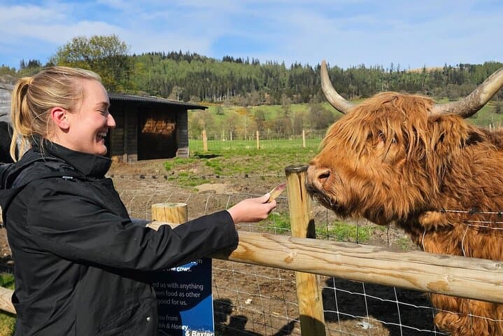 4-Day-Islay-Privately-Guided-Whisky-Tour-from-Edinburgh photo 3
