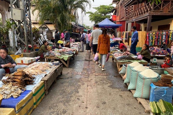 Explore Luang Prabang and Kuang Si Waterfalls — Full-Day Cultural & Nature Tour photo 3