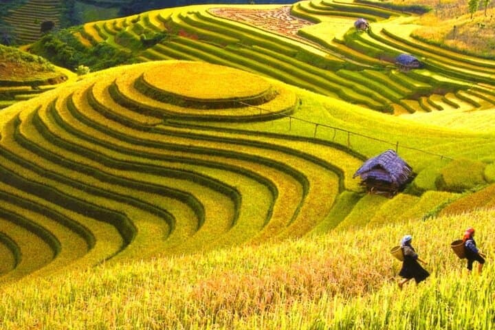 Mai Chau Cycling & Cave Tour: Rice Paddies, Thai Villages & Chieu Cave Day Trip photo 4