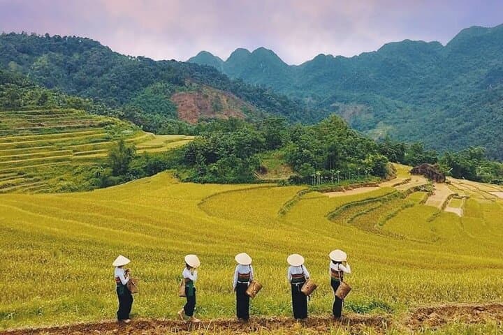 Mai Chau Cycling & Cave Tour: Rice Paddies, Thai Villages & Chieu Cave Day Trip photo 5
