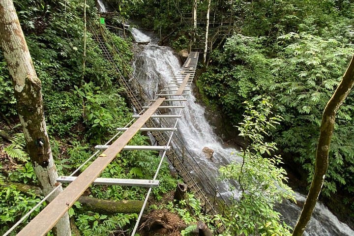 Half-Day High Ropes & Aerial Tram in Jacó — Canopy Challenge on Costa Rica’s Pacific Slope photo 5