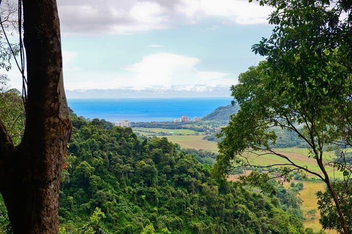 Jacó Rainforest 5-in-1: Full-Day Zipline, Tram & High-Ropes Adventure photo 5