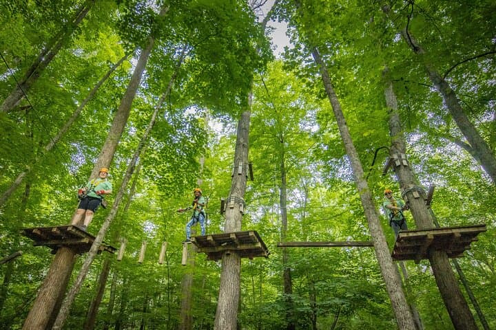TimberTrek Treetop Challenge — West Virginia Tree-Top Adventure Near Davis