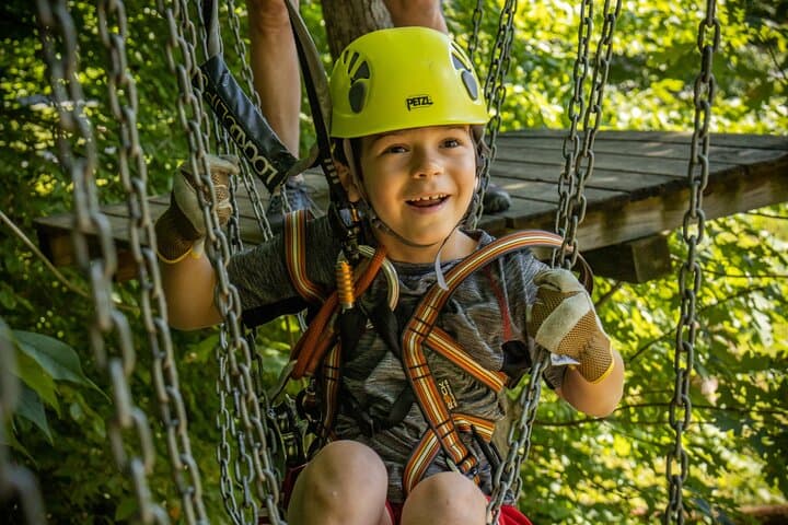 TimberTrek Treetop Challenge — West Virginia Tree-Top Adventure Near Davis photo 2
