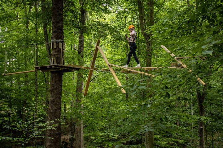 TimberTrek Treetop Challenge — West Virginia Tree-Top Adventure Near Davis photo 4