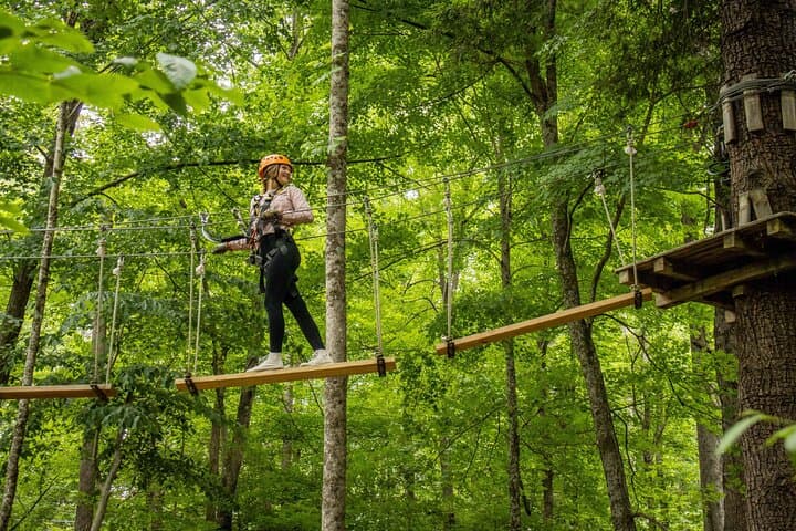 TimberTrek Treetop Challenge — West Virginia Tree-Top Adventure Near Davis photo 5