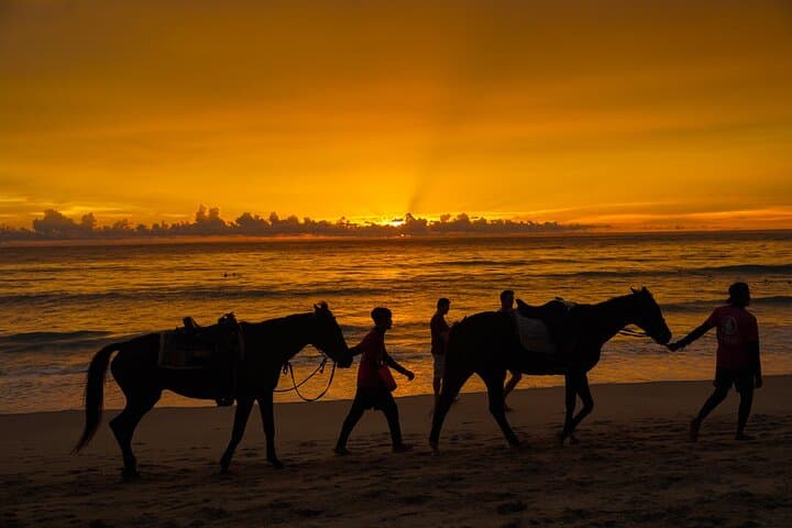 Chase the Sunset: Horseback Riding on Kamala Beach, Phuket photo 2
