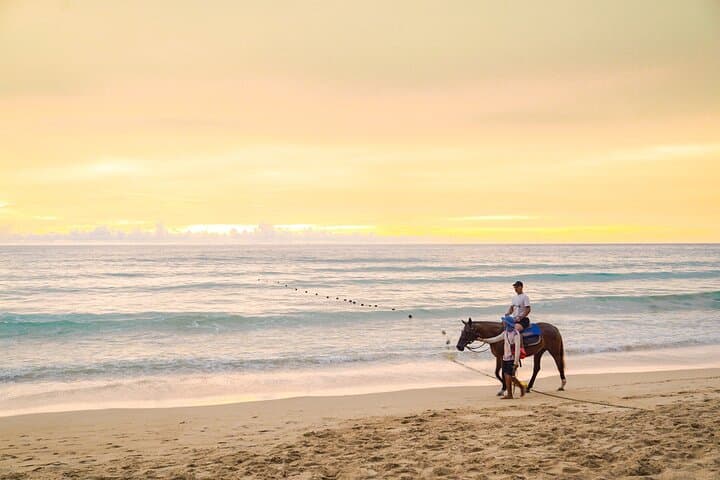 Chase the Sunset: Horseback Riding on Kamala Beach, Phuket photo 3