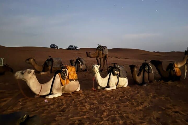 Merzouga Desert Camp & Jeep Tour: 2 Nights in Erg Chebbi photo 3
