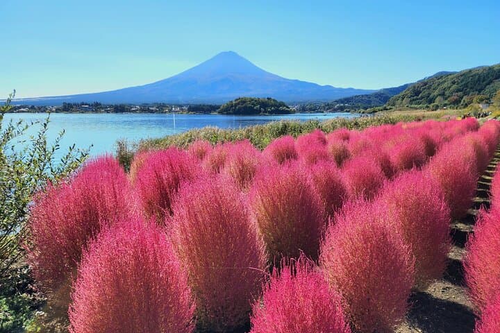 Private Mt. Fuji Day Tour from Shimizu Port — 5th Station, Lake Kawaguchi & Ropeway photo 3