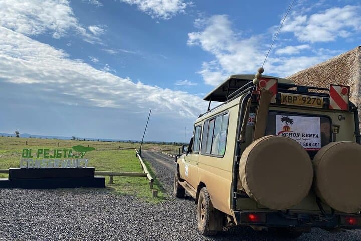 Ol Pejeta Conservancy Daytrip: Big Five Safari, Chimpanzee Sanctuary & Lunch photo 3