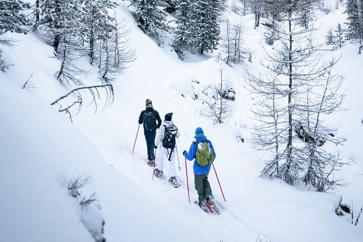 Panoramic Snowshoeing in Bousson: Marble Quarry Winter Walk Near Turin photo 2