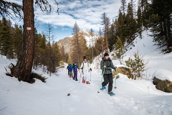 Panoramic Snowshoeing in Bousson: Marble Quarry Winter Walk Near Turin photo 3